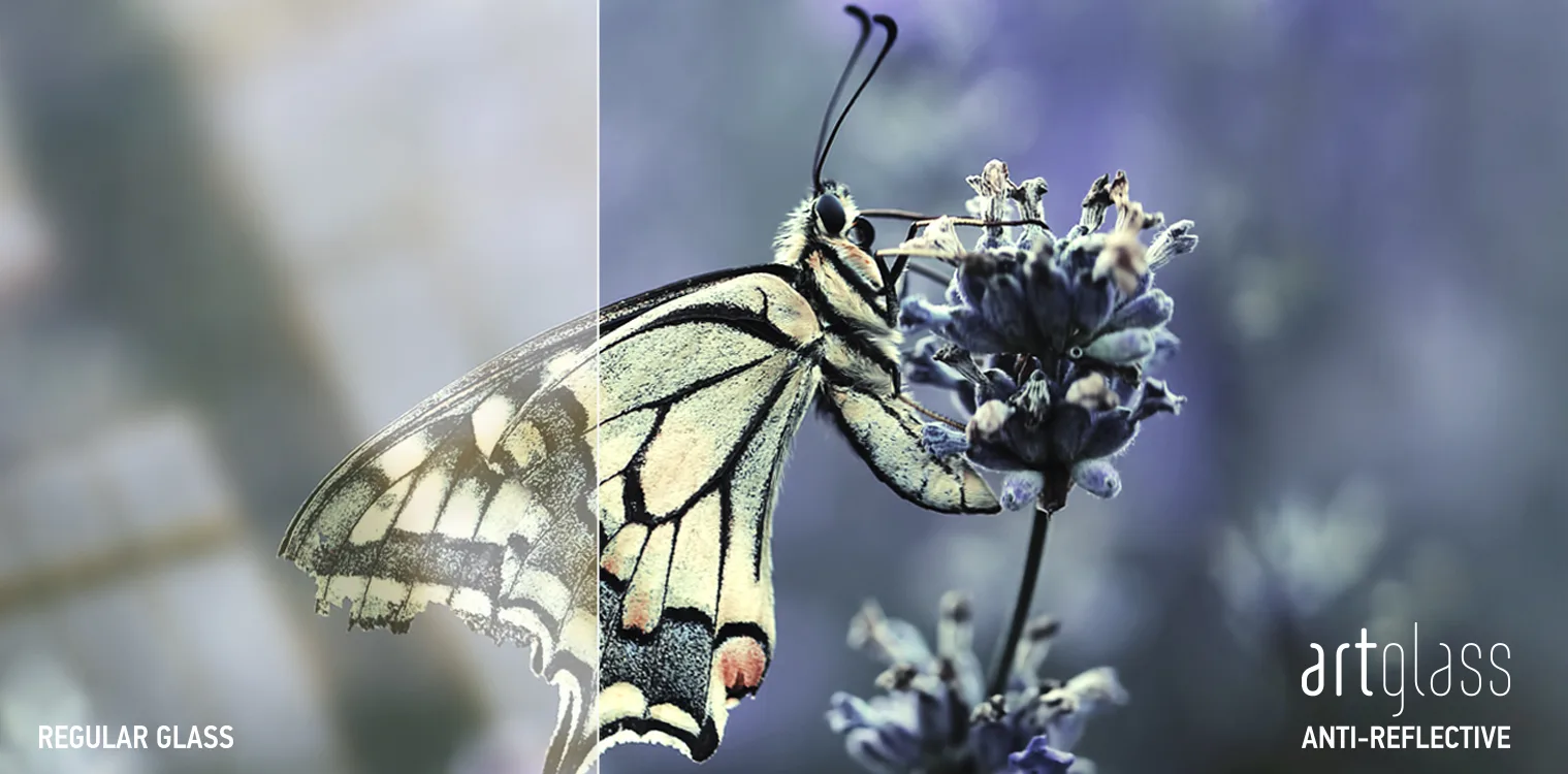 Butterfly on lavender split comparison: hazy reflections behind regular glass, sharp colour behind Artglass