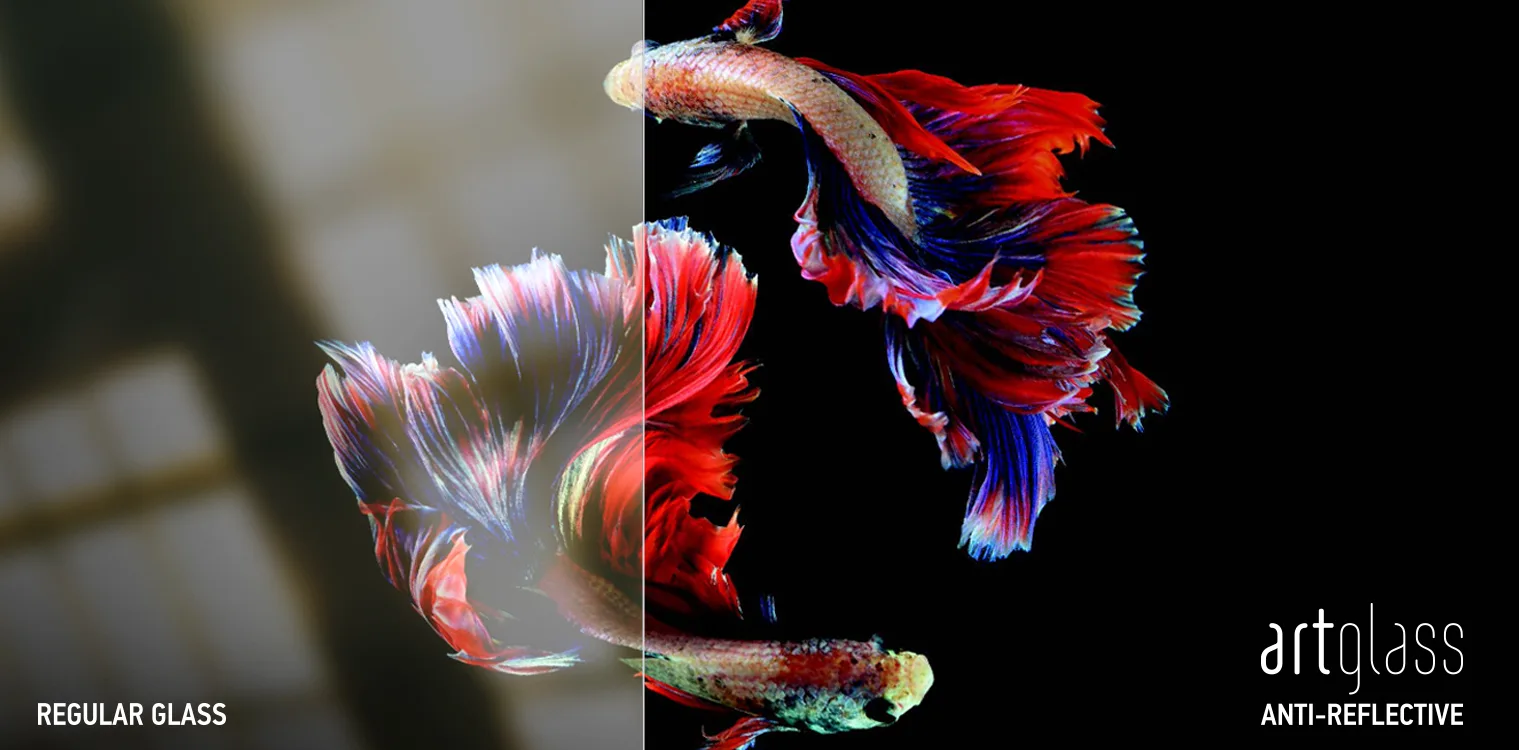 Siamese fighting fish photo split comparison: washed out behind regular glass, vivid behind Artglass